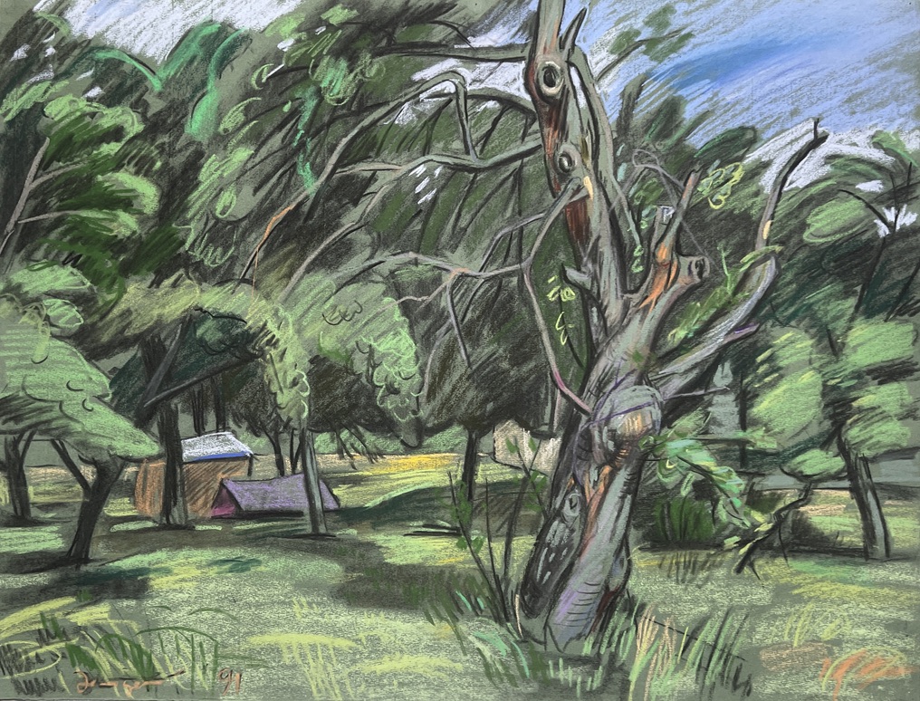 Alter Apfelbaum