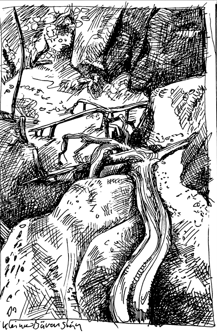 Elbsandsteingebirge - Am kleinen Bärenstein