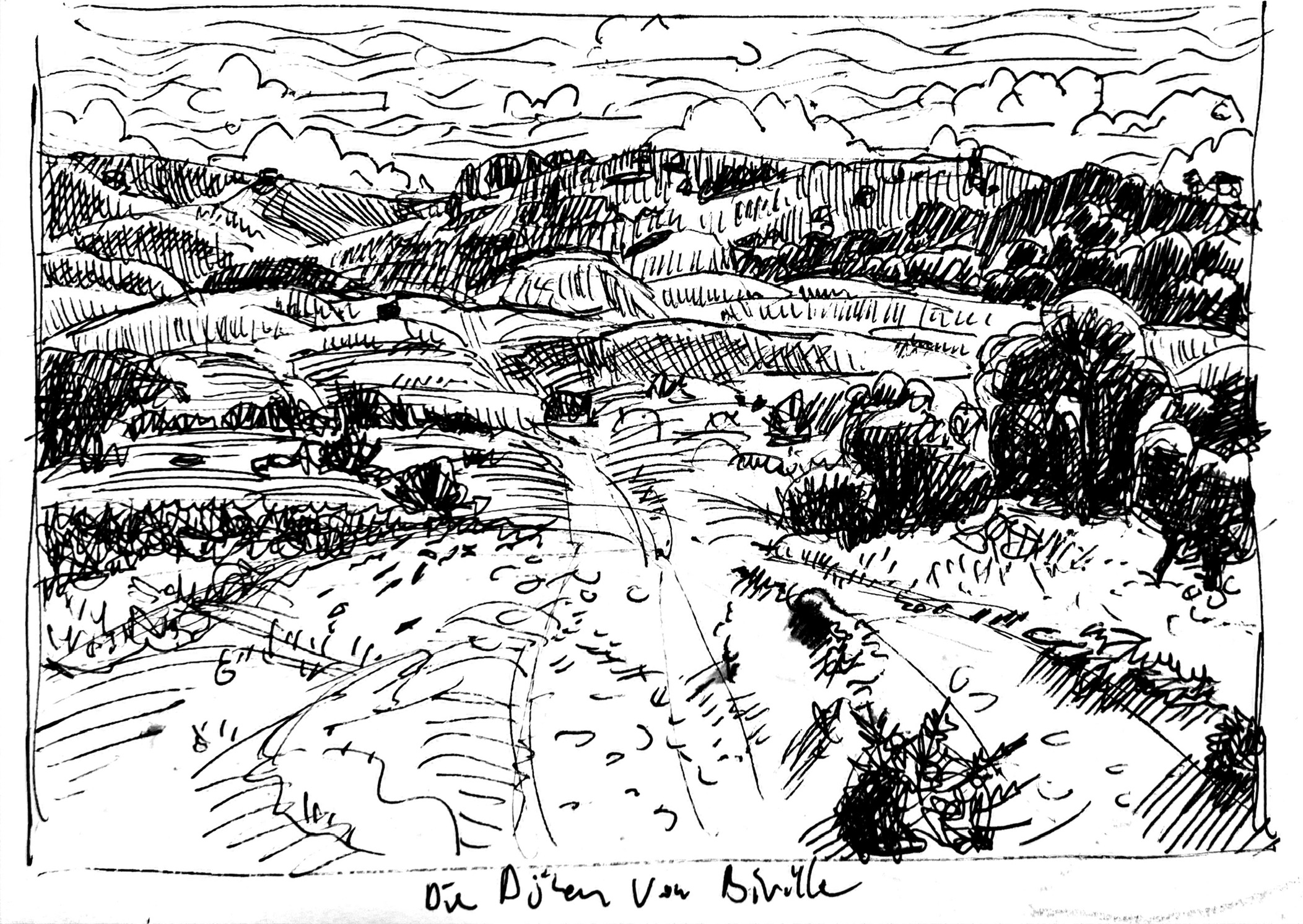 Normandie - Die Dünen von Biville