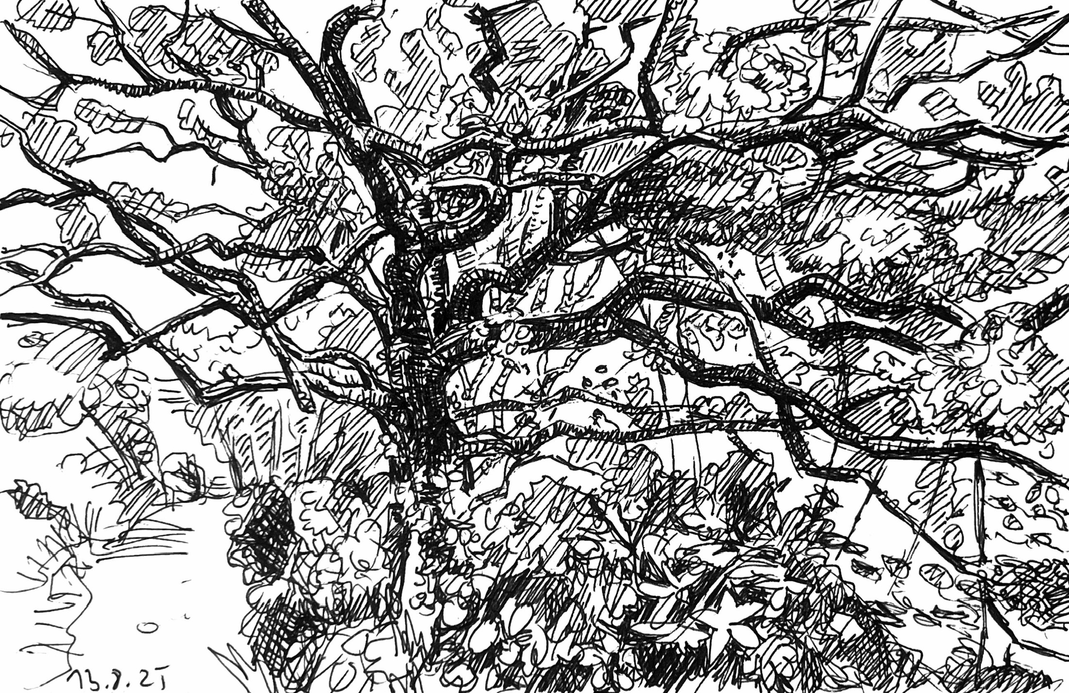Normandie - Waldweg bei Saint-Germain-des-Vaux