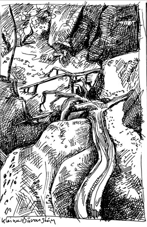 Elbsandsteingebirge - Am kleinen Bärenstein
