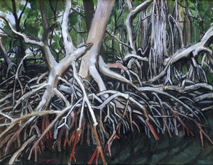 Mangroven 1