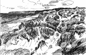 Normandie - Die Dünen von Biville